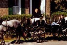Private Horse Drawn Carriage Tour of Charleston